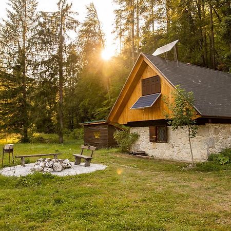 Marko'S Eco Cabin Bled Dış mekan fotoğraf