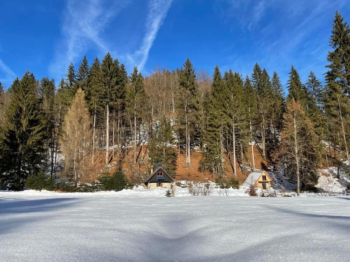 Marko'S Eco Cabin Bled Dış mekan fotoğraf